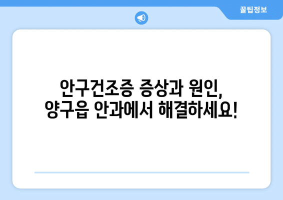 강원도 양구군 양구읍 안구건조증 안과 추천 잘하는 곳 총정리