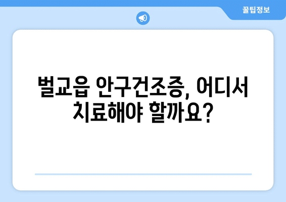 전라남도 보성군 벌교읍 안구건조증 안과 추천 잘하는 곳 총정리
