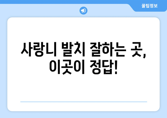 경상북도 구미시 고아읍 사랑니 발치 치과 가격 비용 잘하는 곳 추천 BEST 10 비교 가이드