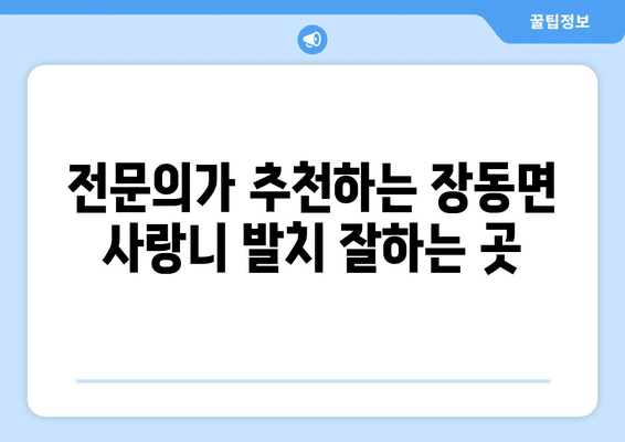 전라남도 장흥군 장동면 사랑니 발치 치과 가격 비용 잘하는 곳 추천 BEST 10 비교 가이드