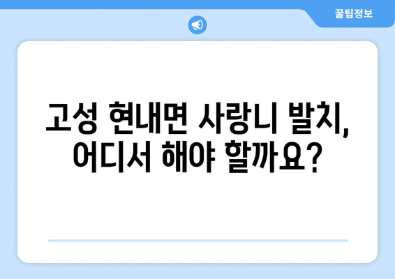 강원도 고성군 현내면 사랑니 발치 치과 가격 비용 잘하는 곳 추천 BEST 10 비교 가이드