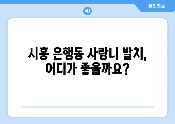 경기도 시흥시 은행동 사랑니 발치 치과 가격 비용 잘하는 곳 추천 BEST 10 비교 가이드