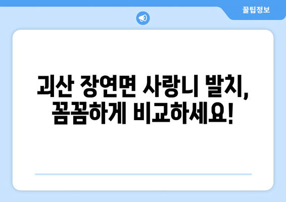 충청북도 괴산군 장연면 사랑니 발치 치과 가격 비용 잘하는 곳 추천 BEST 10 비교 가이드