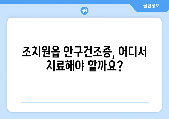 세종시 세종특별자치시 조치원읍 안구건조증 안과 추천 잘하는 곳 총정리