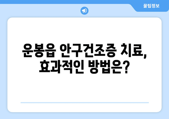 전라북도 남원시 운봉읍 안구건조증 안과 추천 잘하는 곳 총정리