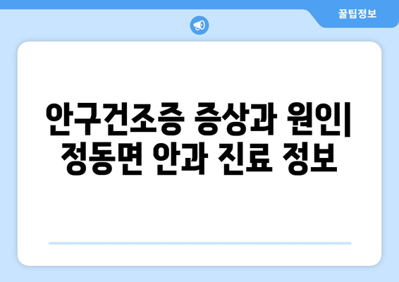 경상남도 사천시 정동면 안구건조증 안과 추천 잘하는 곳 총정리