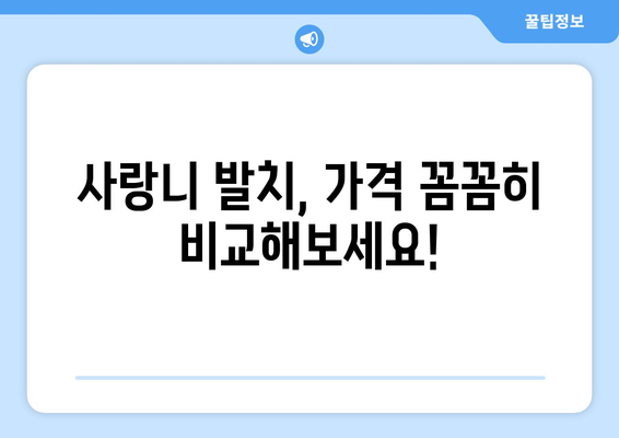경상북도 울릉군 서면 사랑니 발치 치과 가격 비용 잘하는 곳 추천 BEST 10 비교 가이드