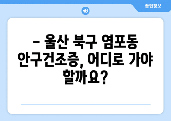울산시 북구 염포동 안구건조증 안과 추천 잘하는 곳 총정리