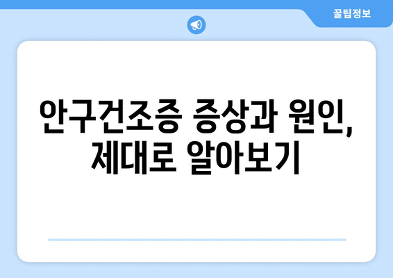 광주시 동구 충장동 안구건조증 안과 추천 잘하는 곳 총정리