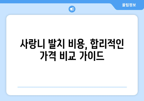 충청북도 보은군 수한면 사랑니 발치 치과 가격 비용 잘하는 곳 추천 BEST 10 비교 가이드