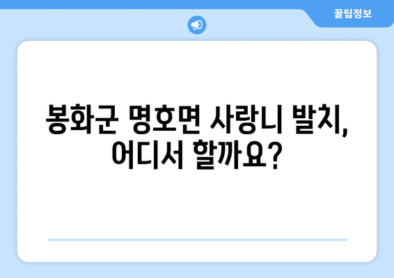경상북도 봉화군 명호면 사랑니 발치 치과 가격 비용 잘하는 곳 추천 BEST 10 비교 가이드