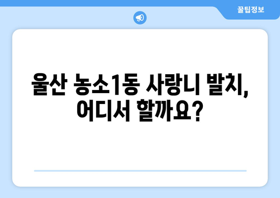 울산시 북구 농소1동 사랑니 발치 치과 가격 비용 잘하는 곳 추천 BEST 10 비교 가이드