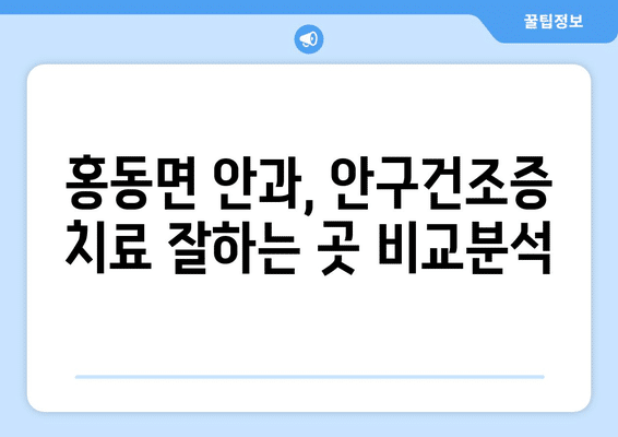 충청남도 홍성군 홍동면 안구건조증 안과 추천 잘하는 곳 총정리