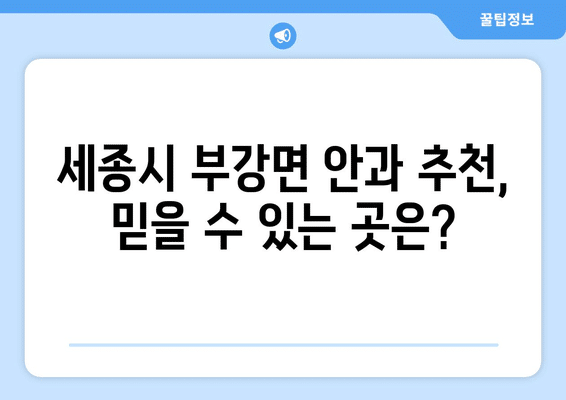 세종시 세종특별자치시 부강면 안구건조증 안과 추천 잘하는 곳 총정리