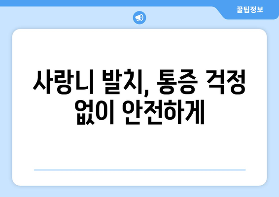 충청북도 보은군 수한면 사랑니 발치 치과 가격 비용 잘하는 곳 추천 BEST 10 비교 가이드