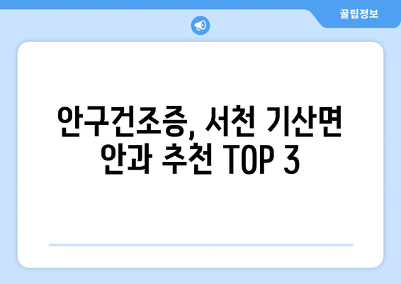충청남도 서천군 기산면 안구건조증 안과 추천 잘하는 곳 총정리