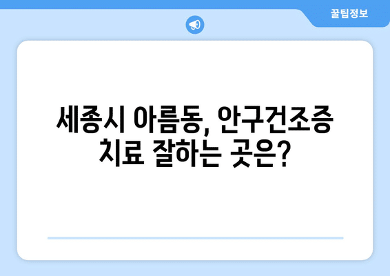 세종시 세종특별자치시 아름동 안구건조증 안과 추천 잘하는 곳 총정리