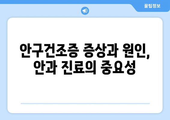 광주시 동구 계림1동 안구건조증 안과 추천 잘하는 곳 총정리