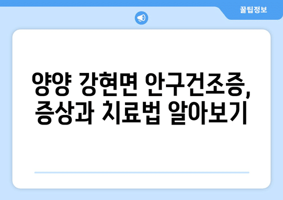 강원도 양양군 강현면 안구건조증 안과 추천 잘하는 곳 총정리