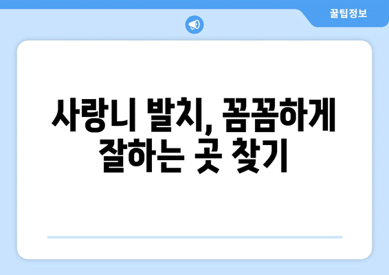 제주도 서귀포시 성산읍 사랑니 발치 치과 가격 비용 잘하는 곳 추천 BEST 10 비교 가이드
