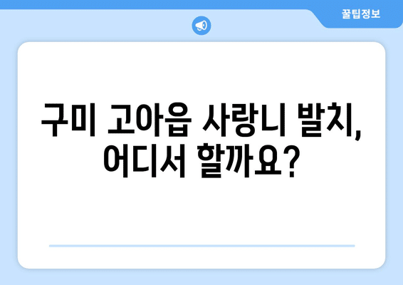 경상북도 구미시 고아읍 사랑니 발치 치과 가격 비용 잘하는 곳 추천 BEST 10 비교 가이드