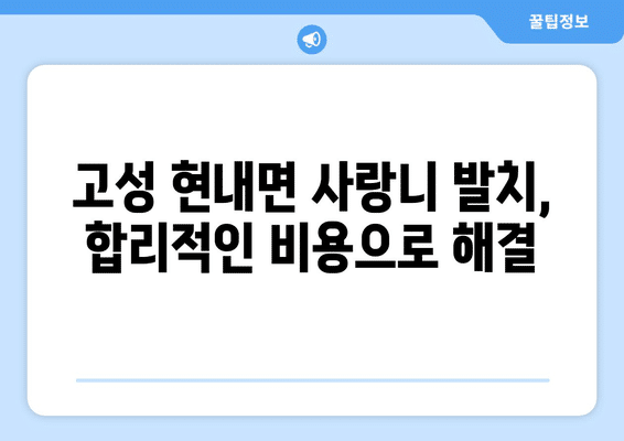 강원도 고성군 현내면 사랑니 발치 치과 가격 비용 잘하는 곳 추천 BEST 10 비교 가이드