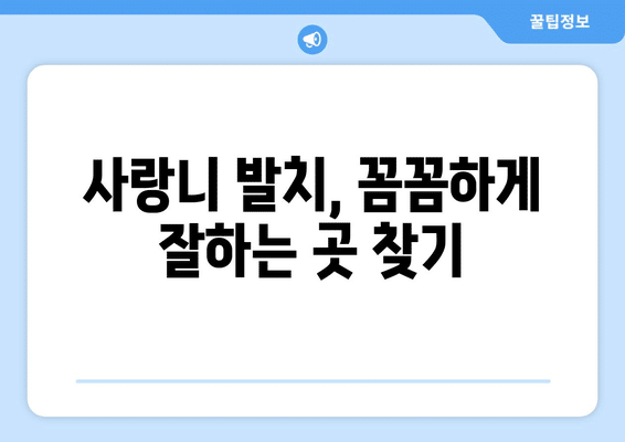 강원도 화천군 하남면 사랑니 발치 치과 가격 비용 잘하는 곳 추천 BEST 10 비교 가이드