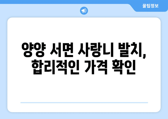 강원도 양양군 서면 사랑니 발치 치과 가격 비용 잘하는 곳 추천 BEST 10 비교 가이드