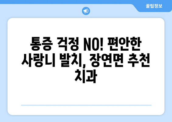충청북도 괴산군 장연면 사랑니 발치 치과 가격 비용 잘하는 곳 추천 BEST 10 비교 가이드