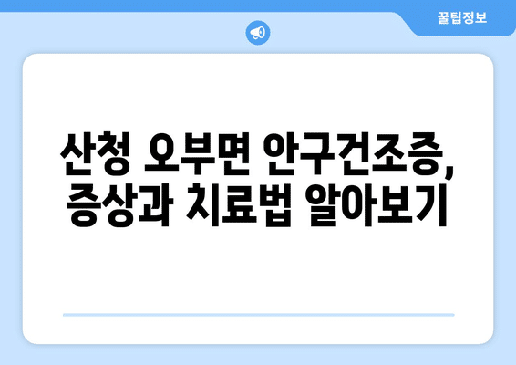 경상남도 산청군 오부면 안구건조증 안과 추천 잘하는 곳 총정리