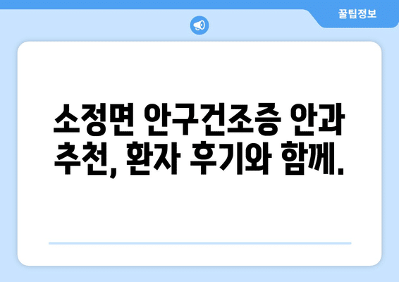 세종시 세종특별자치시 소정면 안구건조증 안과 추천 잘하는 곳 총정리