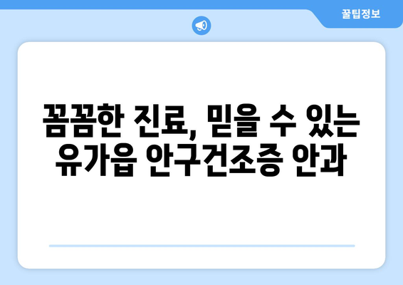대구시 달성군 유가읍 안구건조증 안과 추천 잘하는 곳 총정리