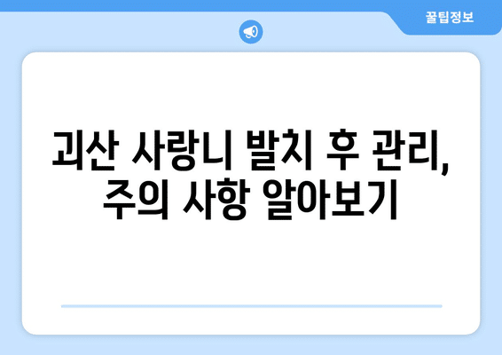 충청북도 괴산군 괴산읍 사랑니 발치 치과 가격 비용 잘하는 곳 추천 BEST 10 비교 가이드