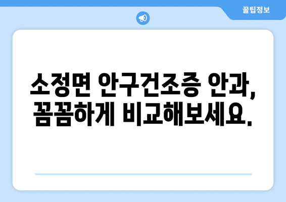 세종시 세종특별자치시 소정면 안구건조증 안과 추천 잘하는 곳 총정리