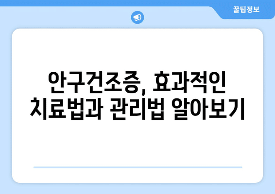 세종시 세종특별자치시 연기면 안구건조증 안과 추천 잘하는 곳 총정리