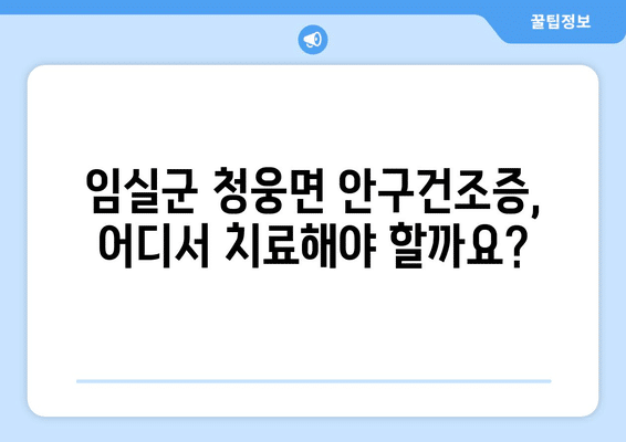 전라북도 임실군 청웅면 안구건조증 안과 추천 잘하는 곳 총정리