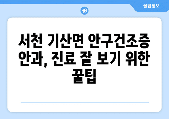 충청남도 서천군 기산면 안구건조증 안과 추천 잘하는 곳 총정리