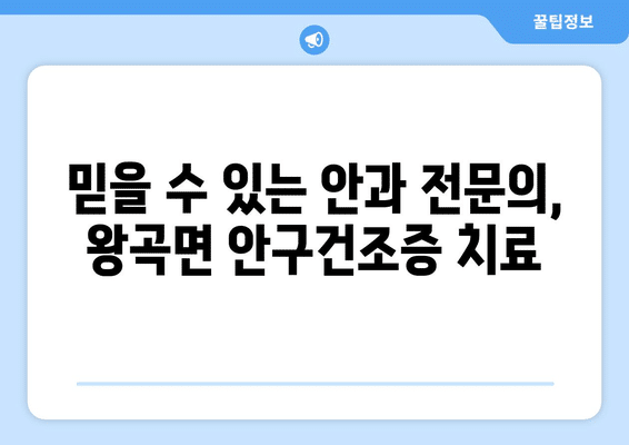 전라남도 나주시 왕곡면 안구건조증 안과 추천 잘하는 곳 총정리