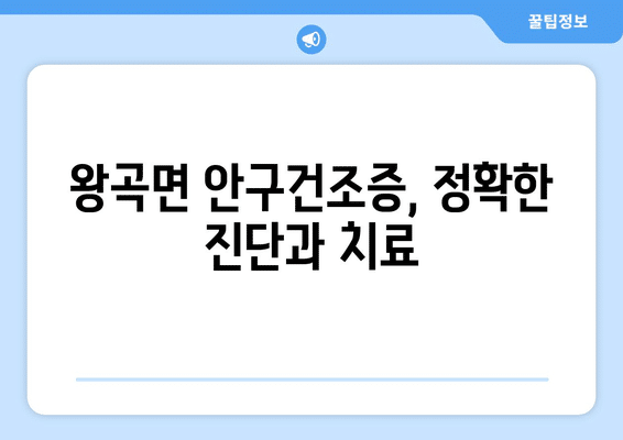 전라남도 나주시 왕곡면 안구건조증 안과 추천 잘하는 곳 총정리