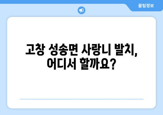 전라북도 고창군 성송면 사랑니 발치 치과 가격 비용 잘하는 곳 추천 BEST 10 비교 가이드