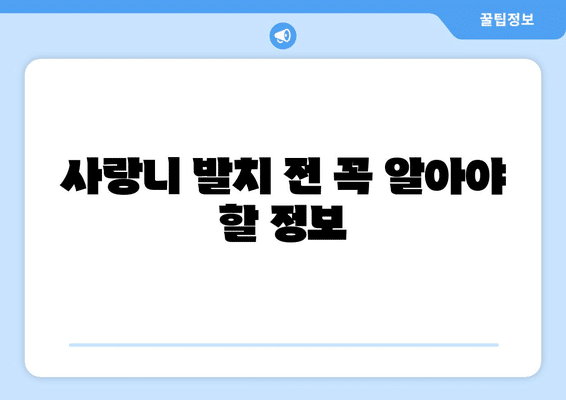 전라남도 장흥군 장동면 사랑니 발치 치과 가격 비용 잘하는 곳 추천 BEST 10 비교 가이드