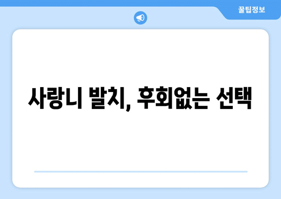 전라남도 구례군 구례읍 사랑니 발치 치과 가격 비용 잘하는 곳 추천 BEST 10 비교 가이드