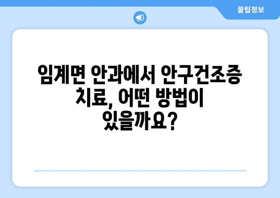 강원도 정선군 임계면 안구건조증 안과 추천 잘하는 곳 총정리