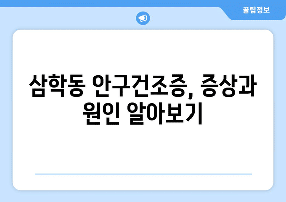 전라남도 목포시 삼학동 안구건조증 안과 추천 잘하는 곳 총정리