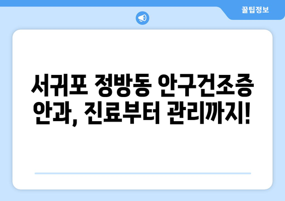 제주도 서귀포시 정방동 안구건조증 안과 추천 잘하는 곳 총정리