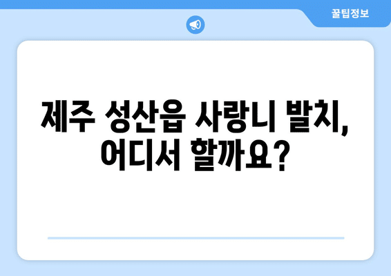 제주도 서귀포시 성산읍 사랑니 발치 치과 가격 비용 잘하는 곳 추천 BEST 10 비교 가이드