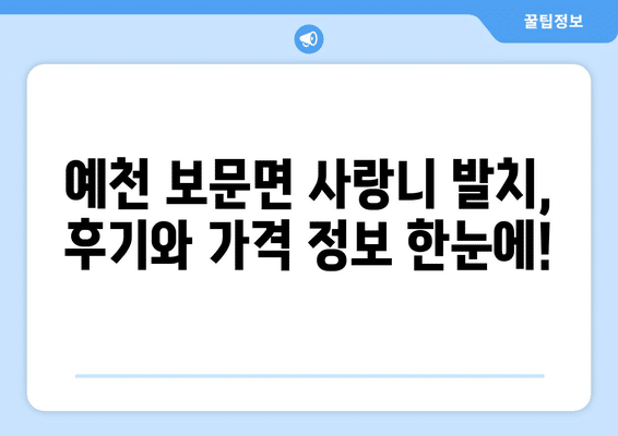 경상북도 예천군 보문면 사랑니 발치 치과 가격 비용 잘하는 곳 추천 BEST 10 비교 가이드