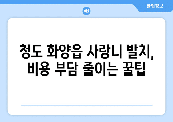 경상북도 청도군 화양읍 사랑니 발치 치과 가격 비용 잘하는 곳 추천 BEST 10 비교 가이드