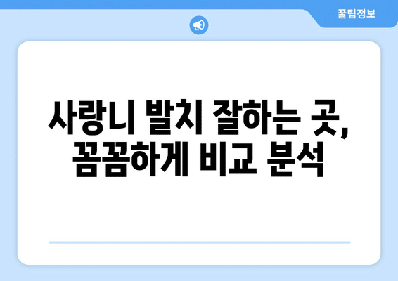 강원도 고성군 현내면 사랑니 발치 치과 가격 비용 잘하는 곳 추천 BEST 10 비교 가이드