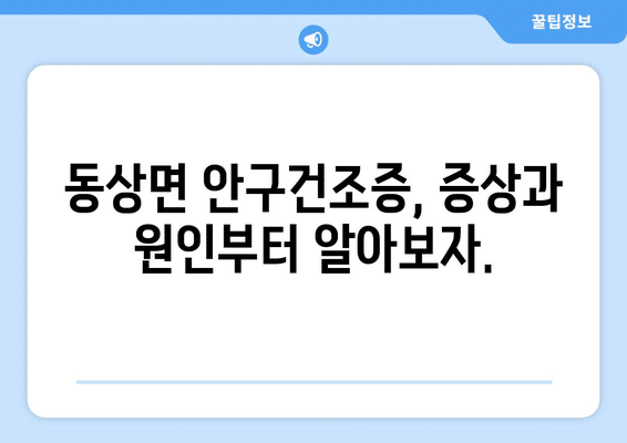 전라북도 완주군 동상면 안구건조증 안과 추천 잘하는 곳 총정리